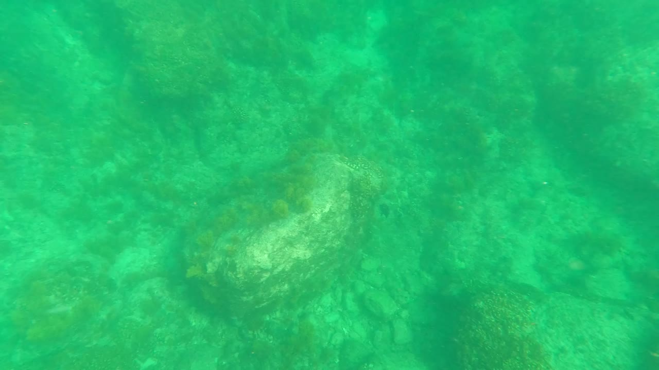 Clear green underwater frame in Los Barriles, Baja California Sur with uneven seabed rocks and pale coral-like areas receding into the background, with no visible people.