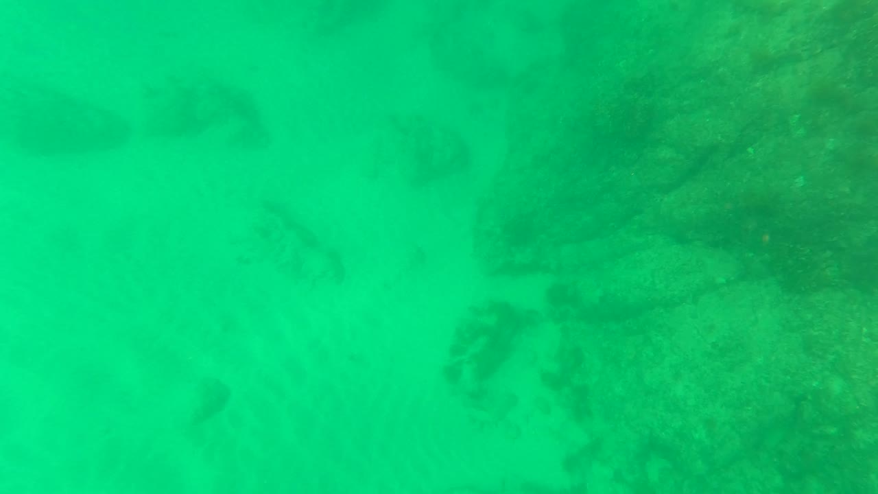 Green underwater view of sandy seabed, darker rocks, and seaweed in Los Barriles, Baja California Sur, with no visible people.