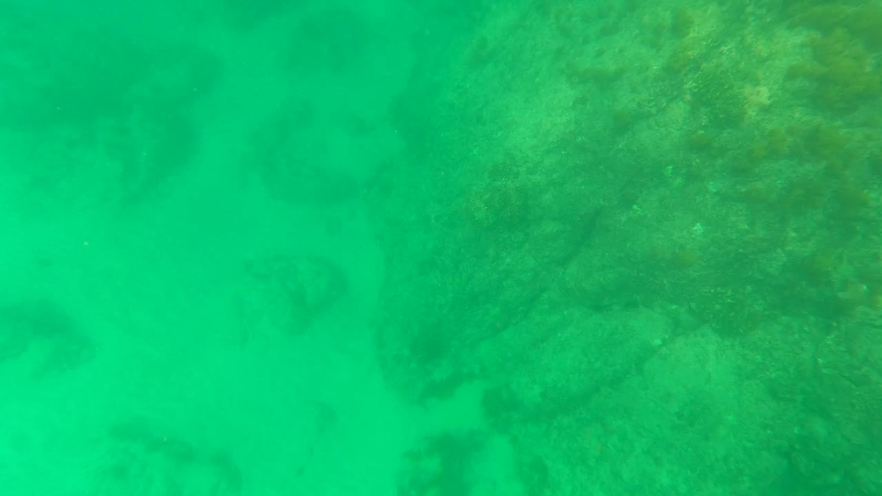 Underwater seabed in Los Barriles, Baja California Sur, with pale sand channels between darker rock and seaweed areas, no visible people.