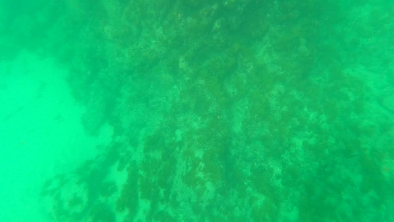 Turquoise underwater view in Los Barriles, Baja California Sur, with rocky coral reef over pale sand and no visible people.