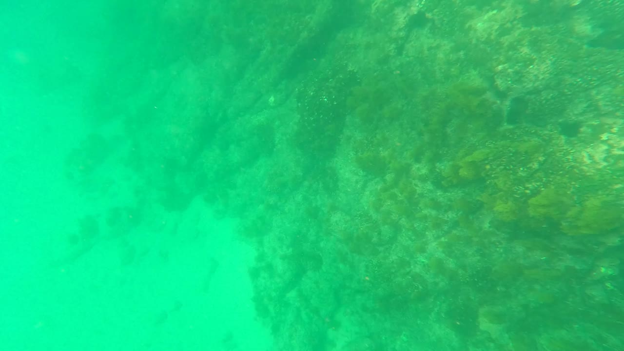 Underwater view in Los Barriles, Baja California Sur, with a reef edge crossing the frame, pale sand below, and no visible people.