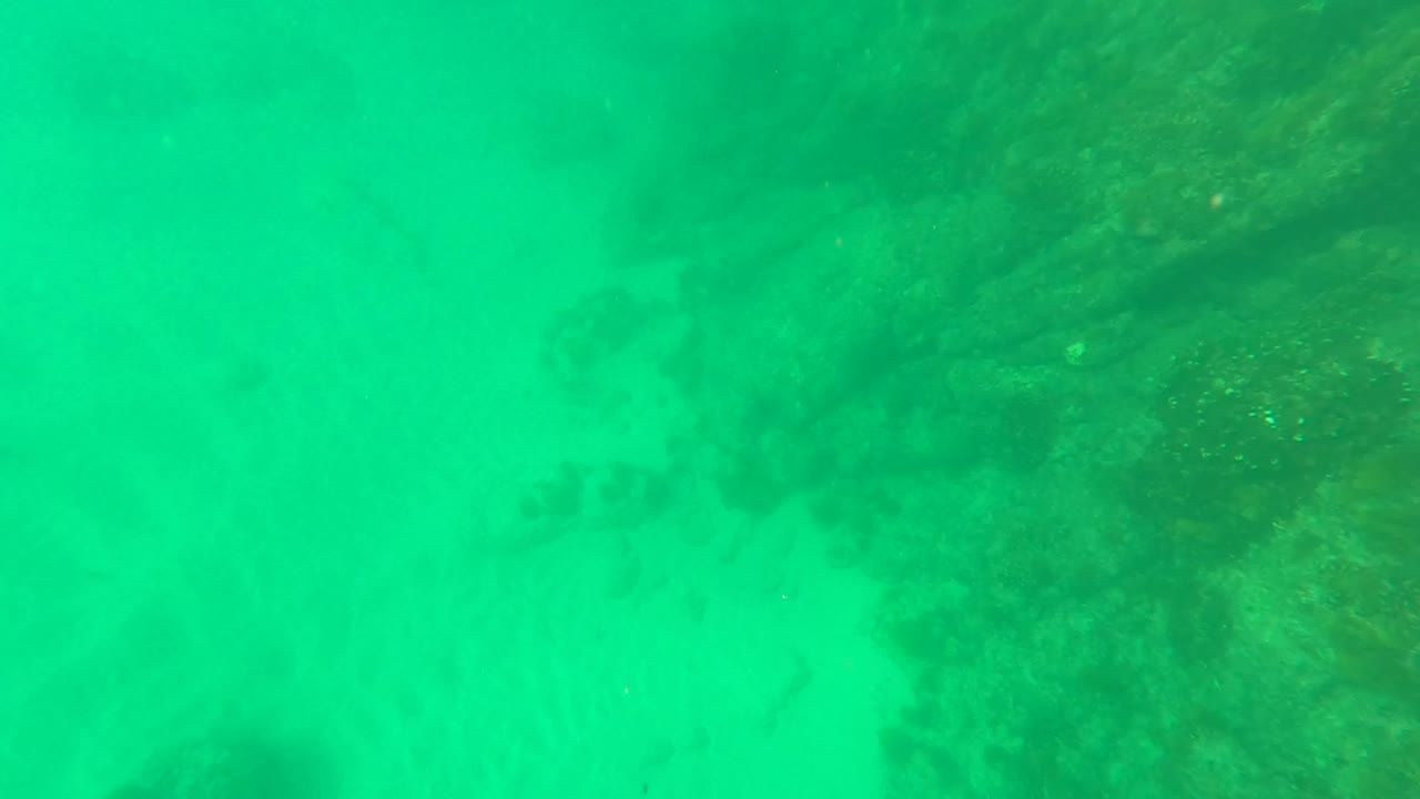 Sandy seabed with reef shadow and faint fish