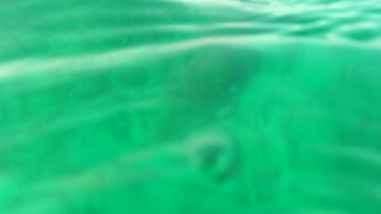 Green-blue underwater frame from Los Barriles with blurred seabed rocks below, bright refracted streaks near the surface, and no visible people.