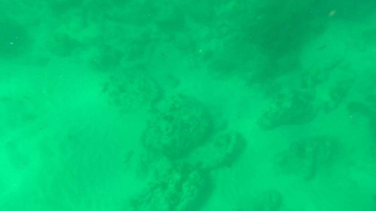 Early underwater frame from Los Barriles, Baja California Sur showing green water over a sandy seabed with dark rocks and no visible people.