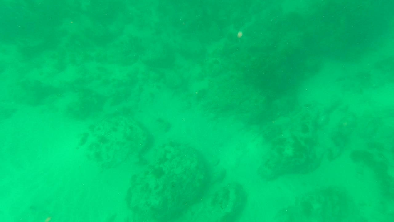 Underwater view in Los Barriles with dark seabed rocks softened by green water and a faint shimmer near the upper edge, with no visible people.
