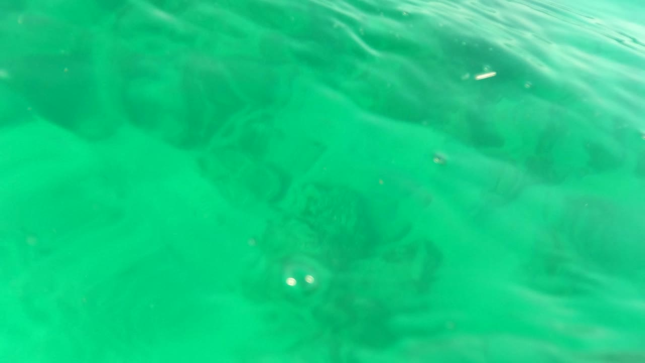Los Barriles underwater frame with seabed rocks below and brighter rippled water near the top of frame, with no visible people.