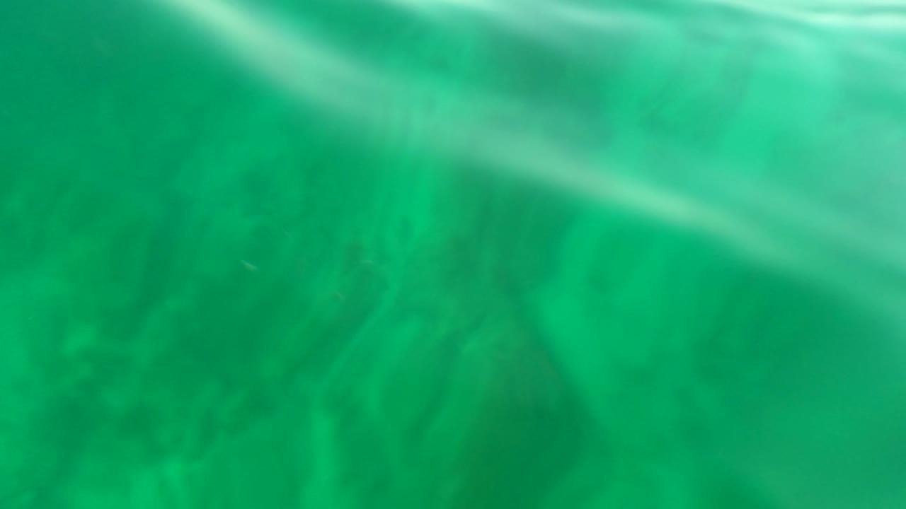 Green underwater view in Los Barriles, Baja California Sur, looking toward the rippled surface with soft blur and no visible people.