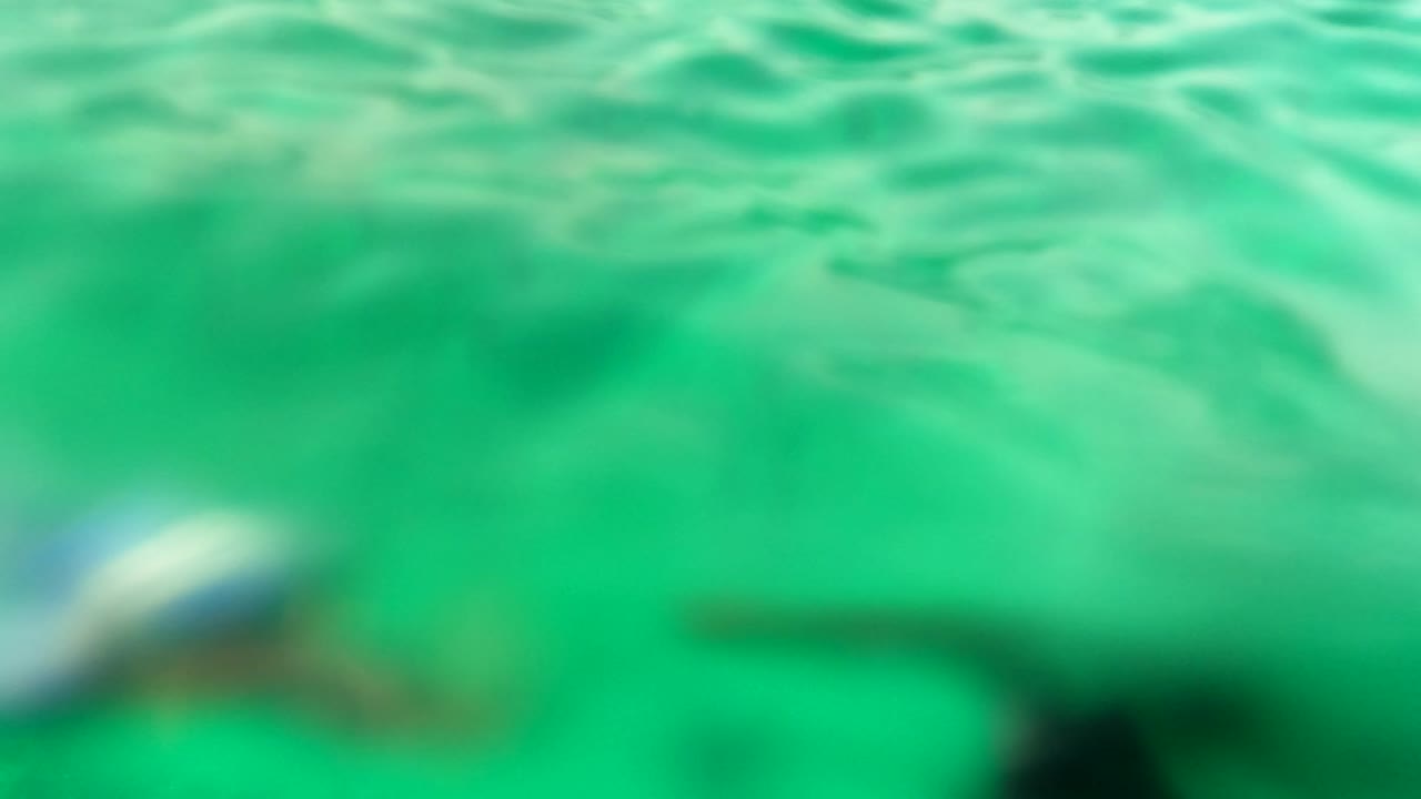 Blurred underwater frame in Los Barriles, Baja California Sur, with a pale form passing near the surface and no identifiable person visible.