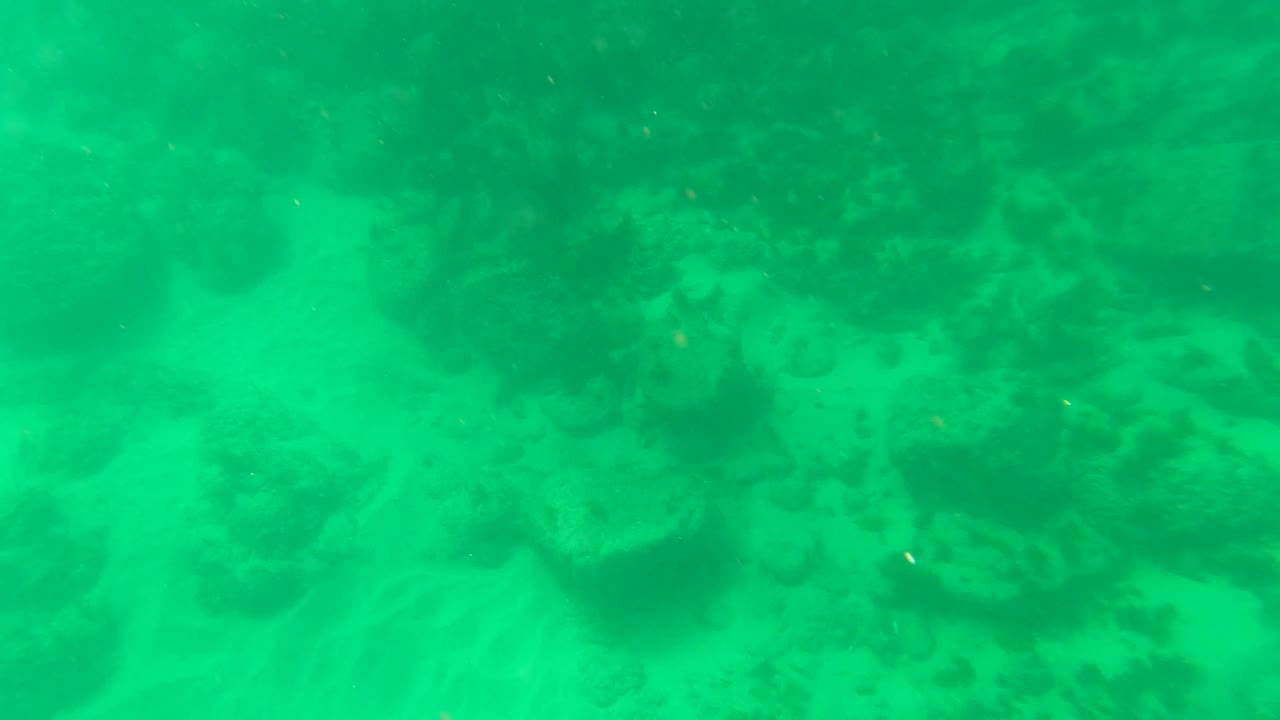 Underwater view in Los Barriles, Baja California Sur, showing coral rocks and pale sand through green water with no visible people.