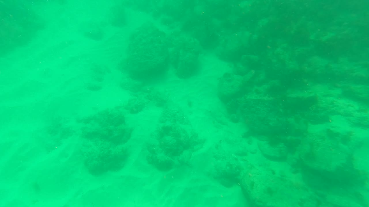 Sandy ocean floor with scattered dark reef rocks