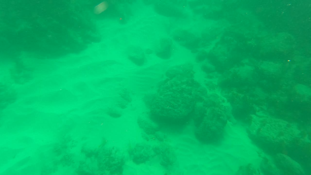 Underwater view in Los Barriles, Baja California Sur showing green water over rippled sand, scattered coral heads, and no visible people.