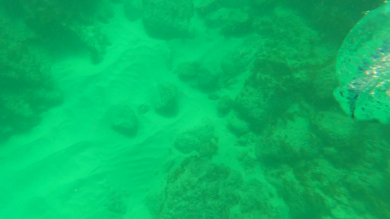 Underwater Los Barriles seabed with denser coral and rock formations across the upper frame, sand visible below, and no visible people.