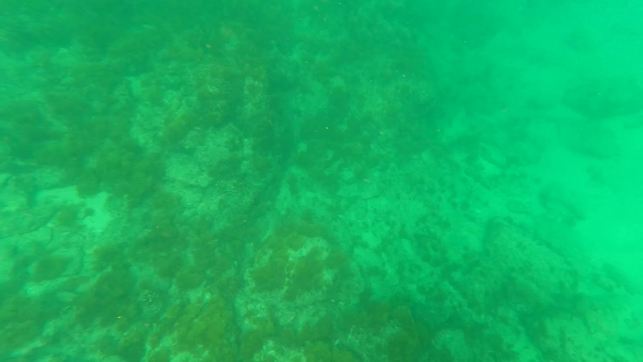 Opening underwater frame from Los Barriles, Baja California Sur, showing a green-tinted rocky reef with coral shapes fading into the water and no visible people.