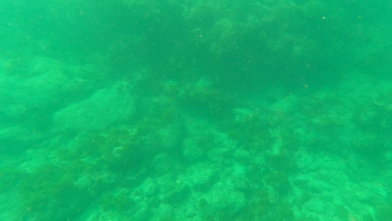 Rocky ocean floor seen through green clear water