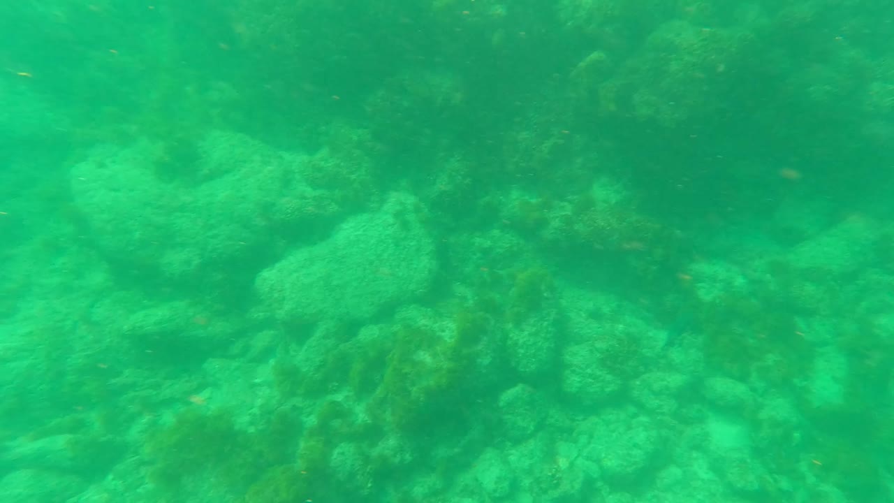 Mid-clip underwater frame in Los Barriles, Baja California Sur, showing algae-covered rock shapes fading into green water, with no visible people.