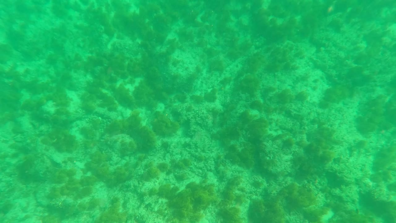 Opening frame of clear turquoise water over a coral-speckled seabed in Los Barriles, Baja California Sur, Mexico, with no visible people.
