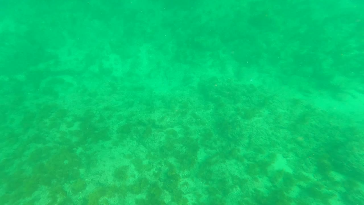 Mid-clip underwater view of mottled coral, rock, and sandy bottom beneath turquoise water in Los Barriles, Mexico, with no visible people.