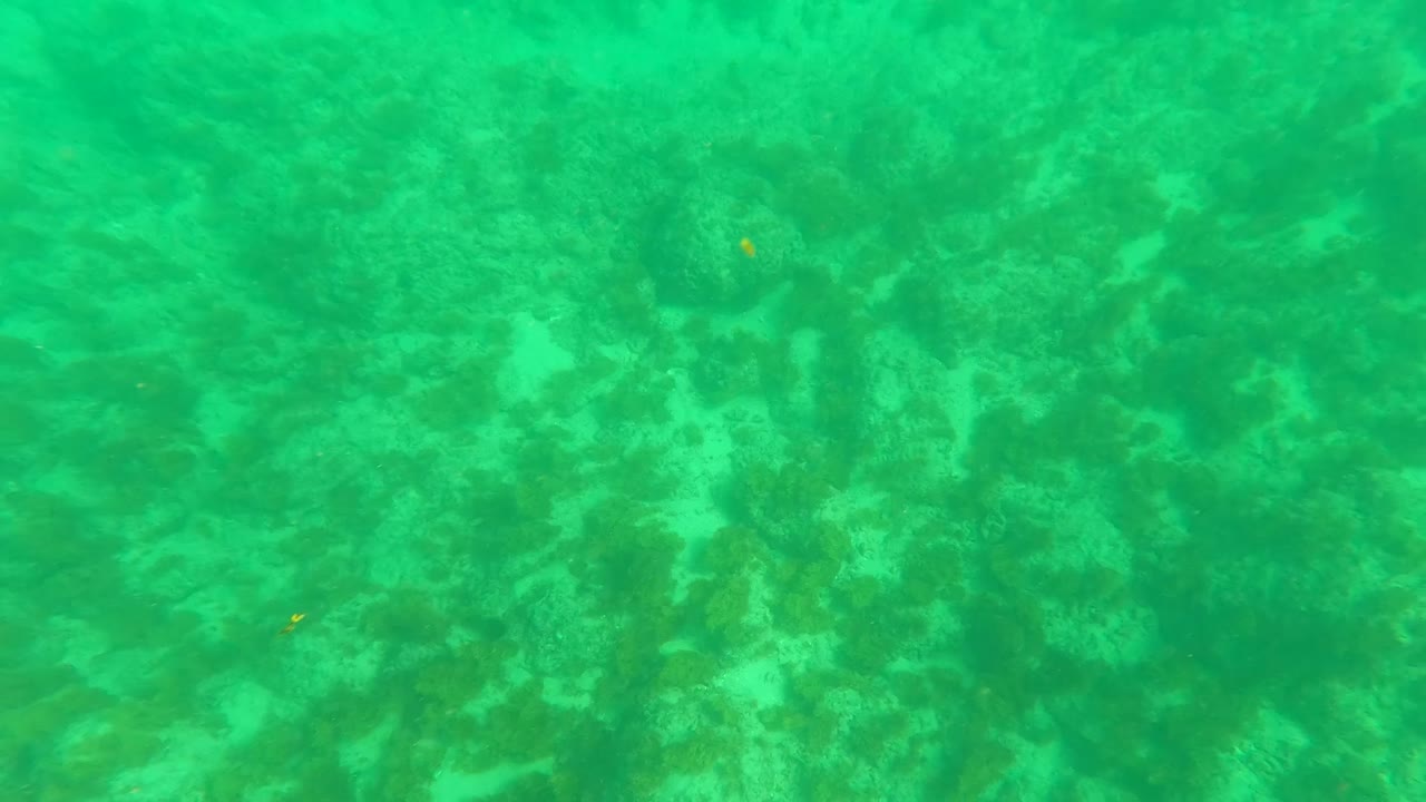 Shallow ocean floor under clear turquoise water