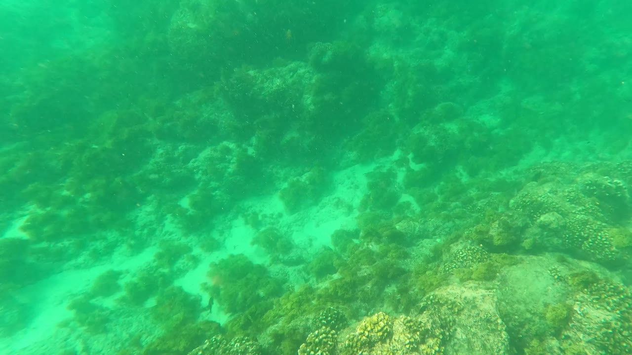 Green underwater view in Los Barriles, Baja California Sur showing coral rocks, pale sand patches, and no visible people at the opening moment.