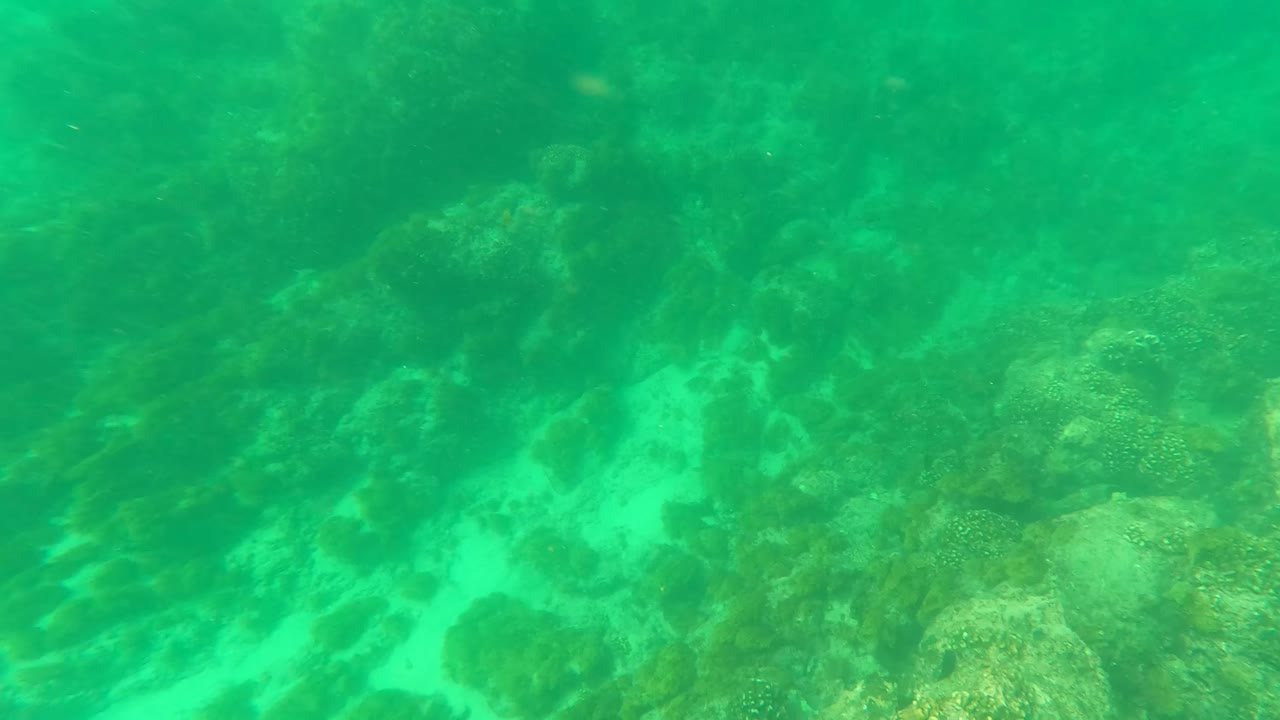 Rocky coral seabed in Los Barriles, Baja California Sur with green water, sandy channels between reef patches, and no visible people.
