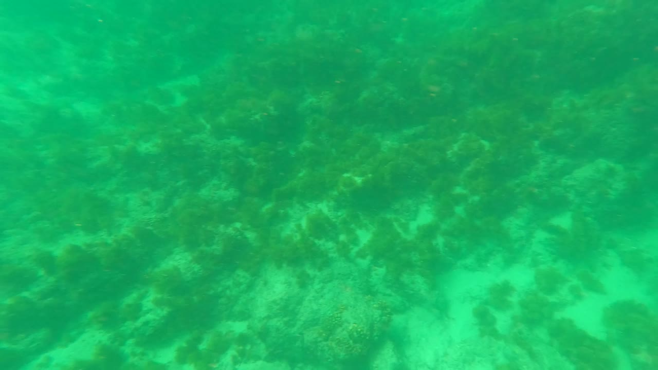 Dimmer green underwater view in Los Barriles, Baja California Sur showing a rocky coral floor, soft sand openings, and no visible people.