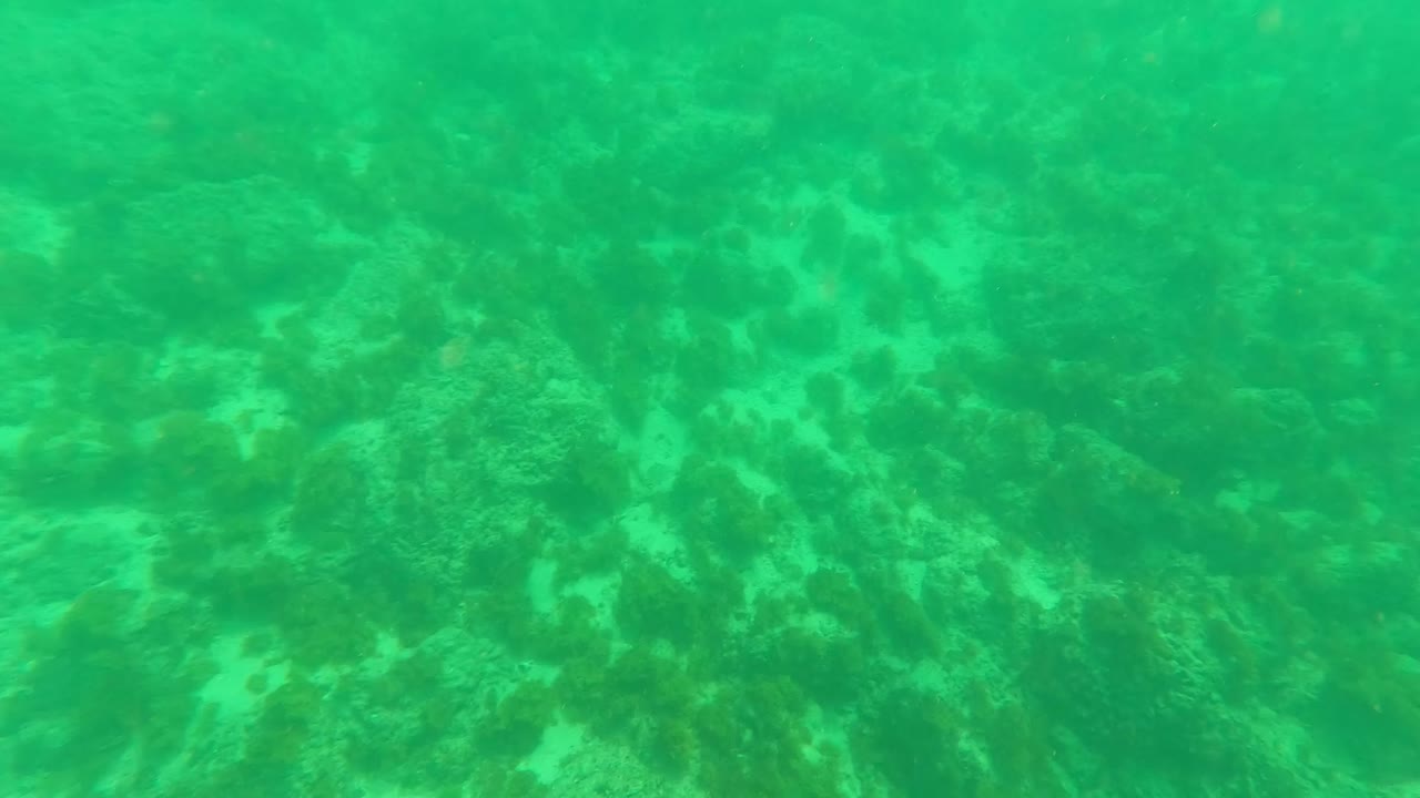 Opening underwater frame in Los Barriles, Baja California Sur, showing clear green water over a sandy seabed with scattered coral and no visible people.