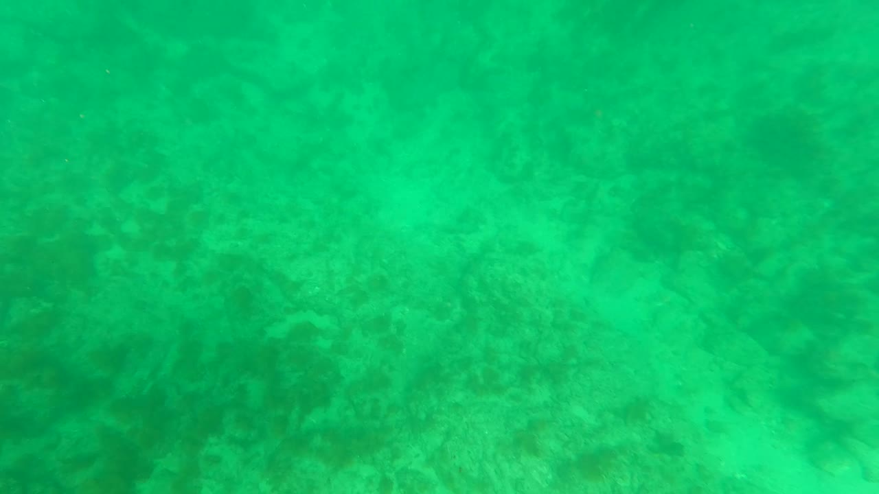 Green underwater view of sandy bottom and reef patches