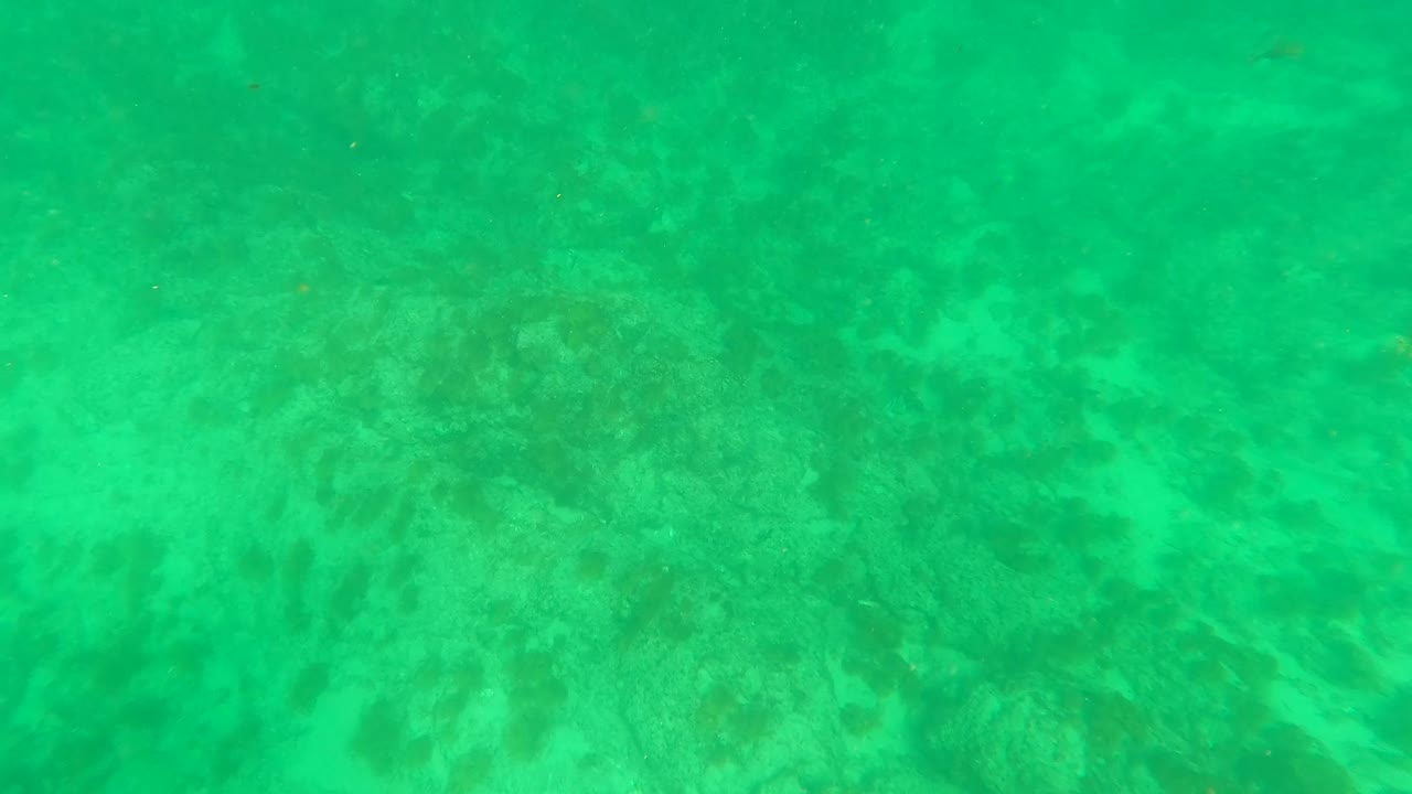 Green-tinted underwater frame in Los Barriles, Baja California Sur, with pale sandy bottom, scattered rocks, and no visible people.