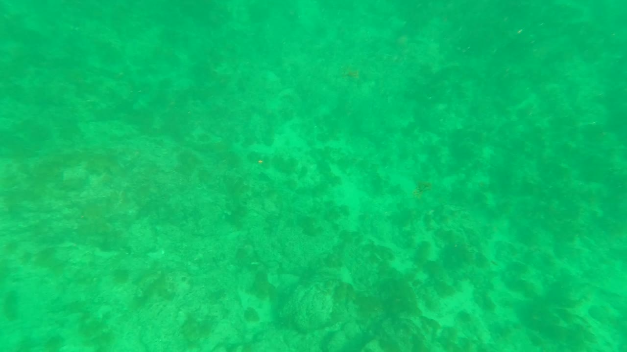 Underwater view in Los Barriles, Baja California Sur, showing mottled rocks and sandy seabed with a faint small fish shape in the water, no visible people.