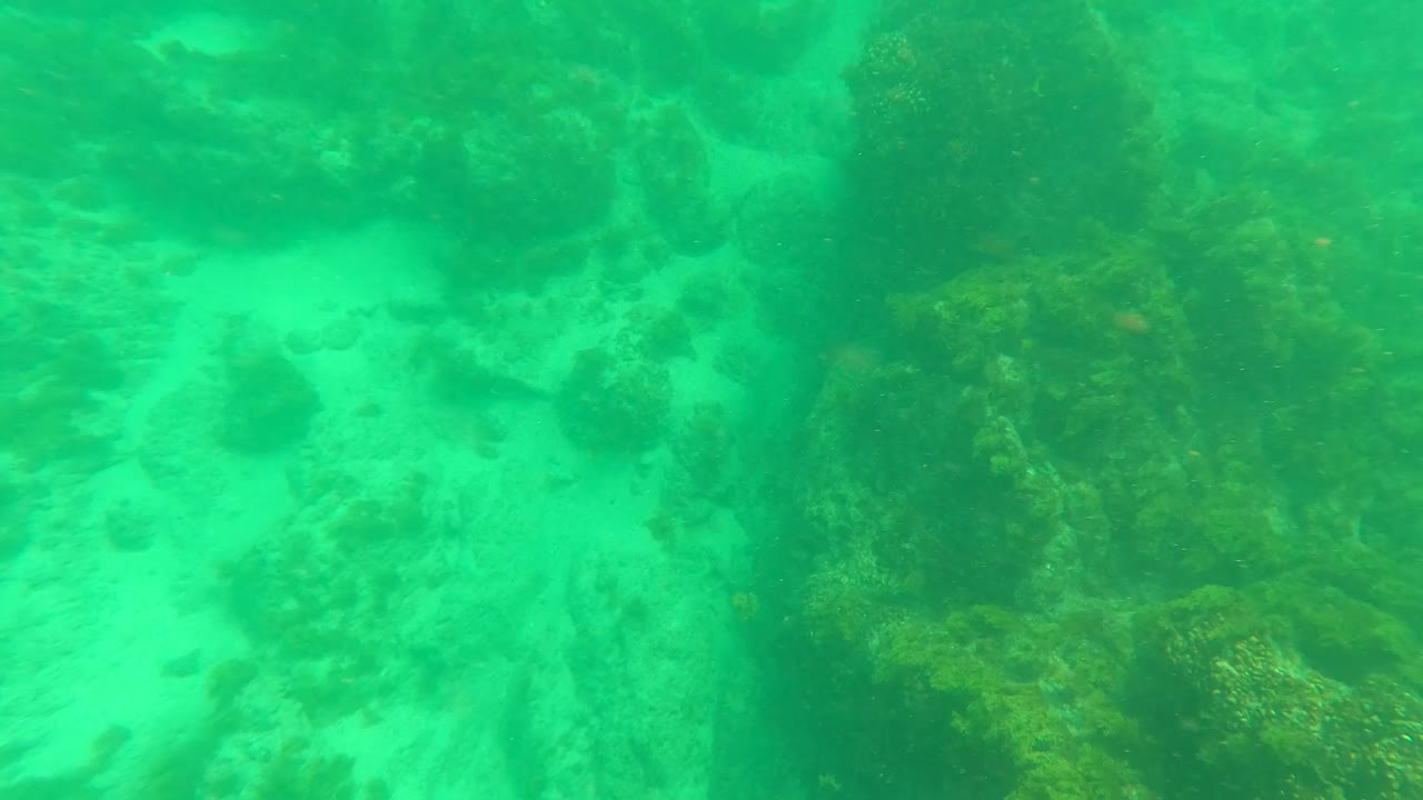 Green underwater view of rocky seabed and pale sand patches.