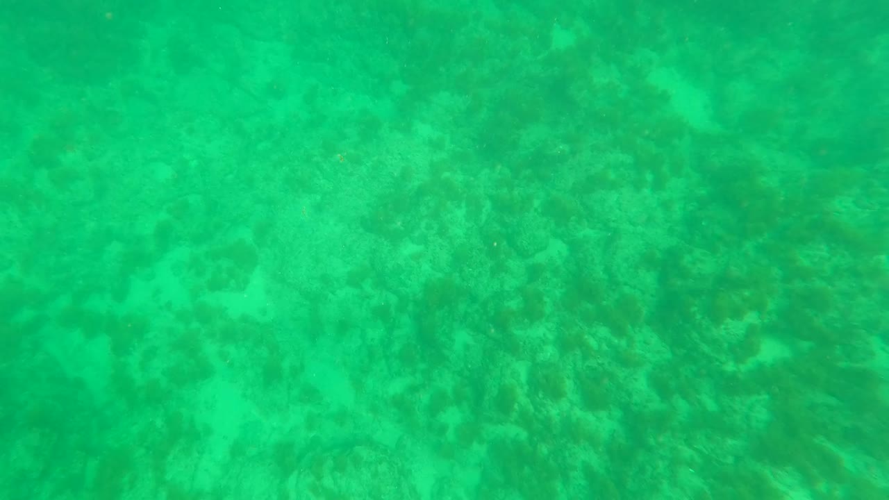 Second frame from Los Barriles, Baja California Sur, with a denser patch of submerged rocks and marine growth visible through green water and no visible people.