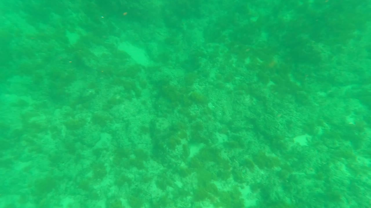Mid-early frame in Los Barriles, Baja California Sur, showing uneven seabed texture, scattered coral-like growth, and green water haze with no visible people.