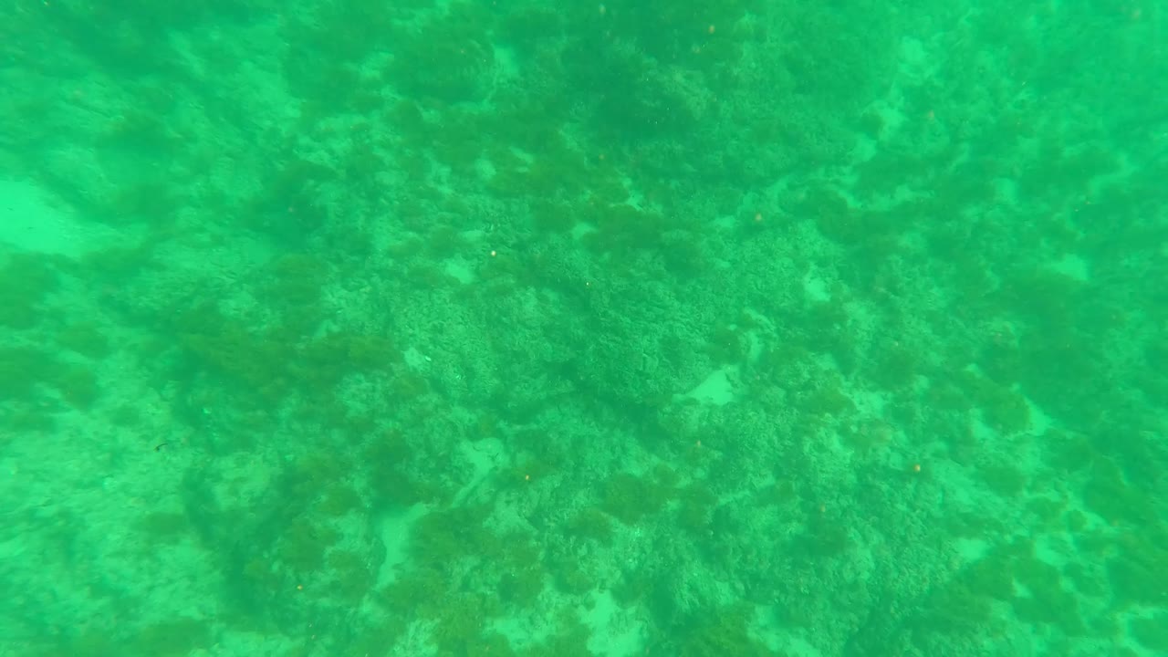 Lower-row frame from Los Barriles, Baja California Sur, looking down at rocky sea floor, small sand pockets, and soft green water with no visible people.