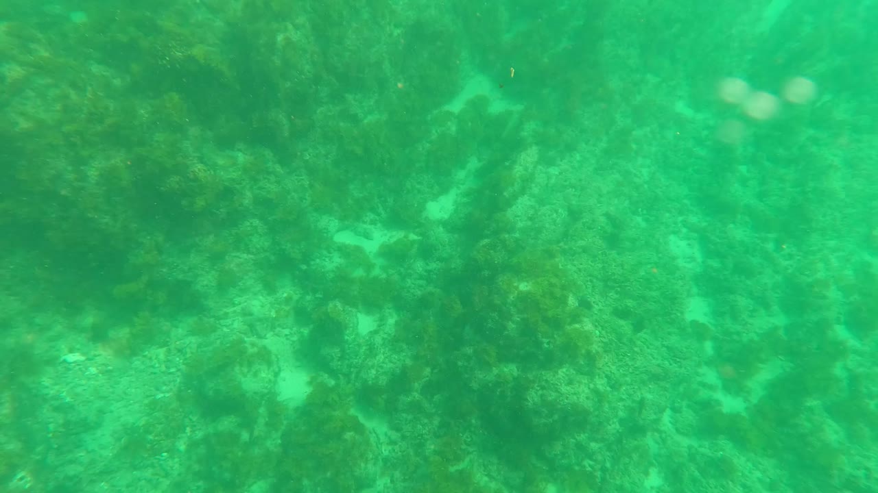 Mid-clip Los Barriles seabed frame showing mottled rocks, algae, and small pale sand breaks under green water, with no visible people.