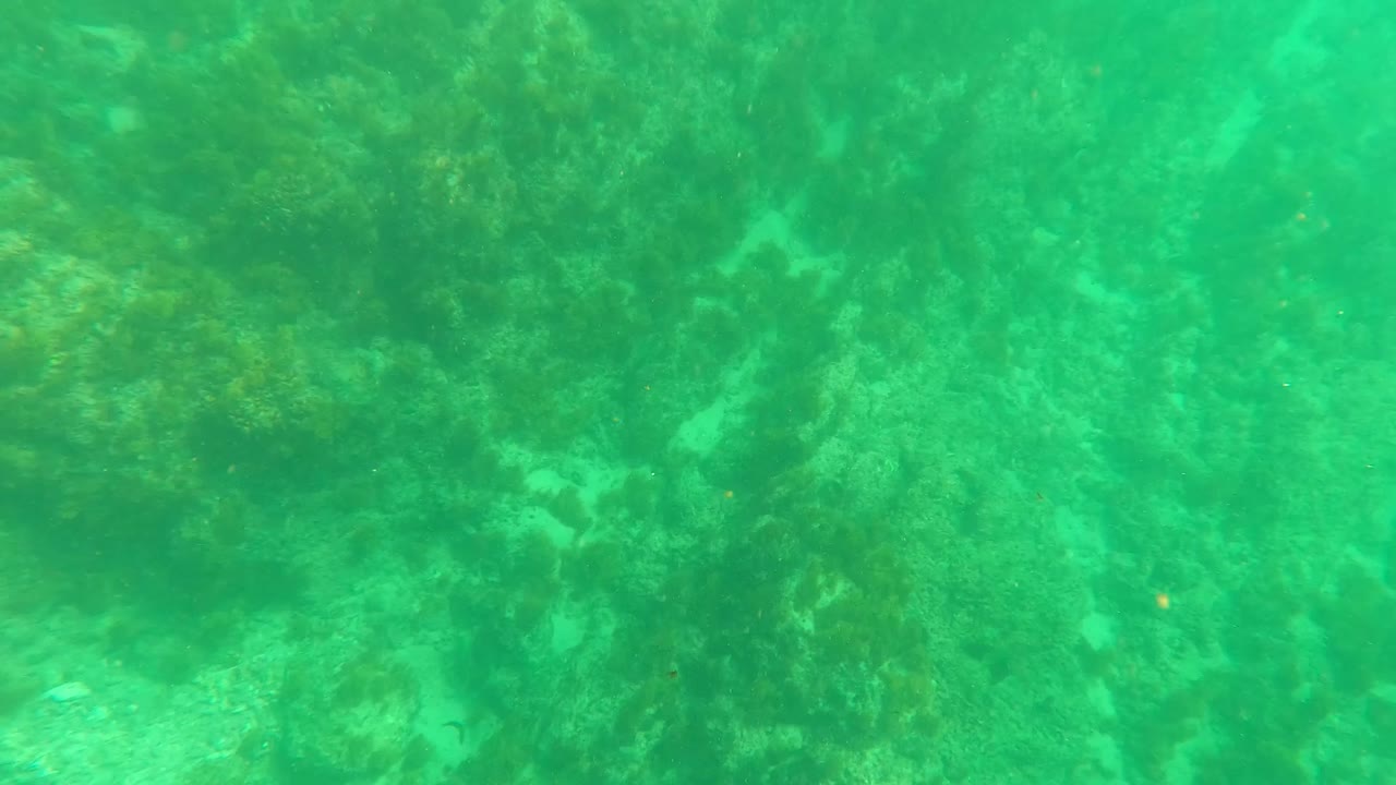 Los Barriles underwater frame with broad green water, rocky formations across the bottom, and no visible people or animals.