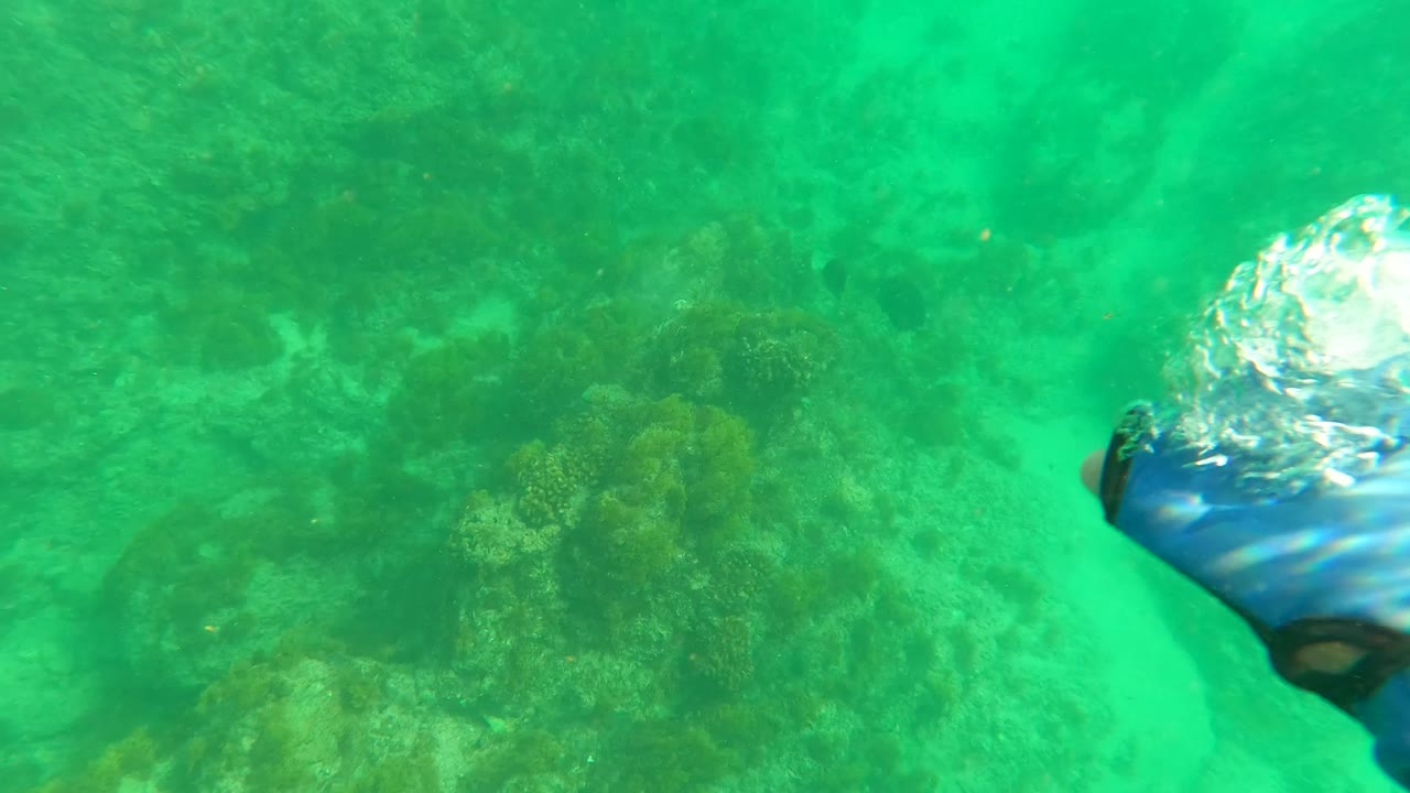 Opening frame from Los Barriles, Baja California Sur showing green water over rocky reef and sand, with a partial blue object entering at the right edge and no clearly visible people.