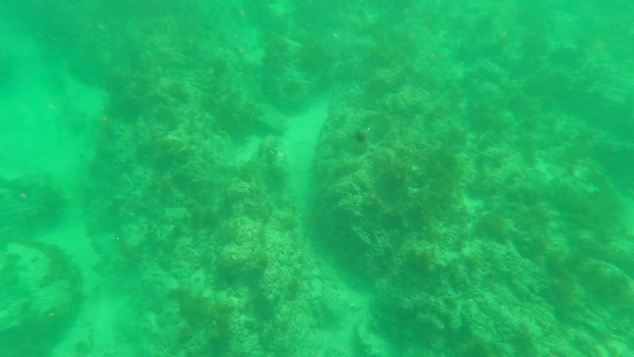 Third frame from Los Barriles, Baja California Sur showing larger dark reef formations over a pale sandy bottom in green water, with no visible people.