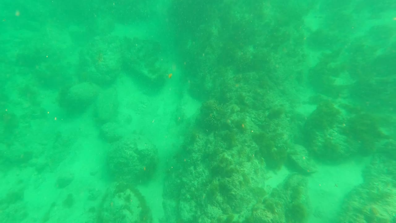 Sandy underwater floor with scattered rocks in green water.