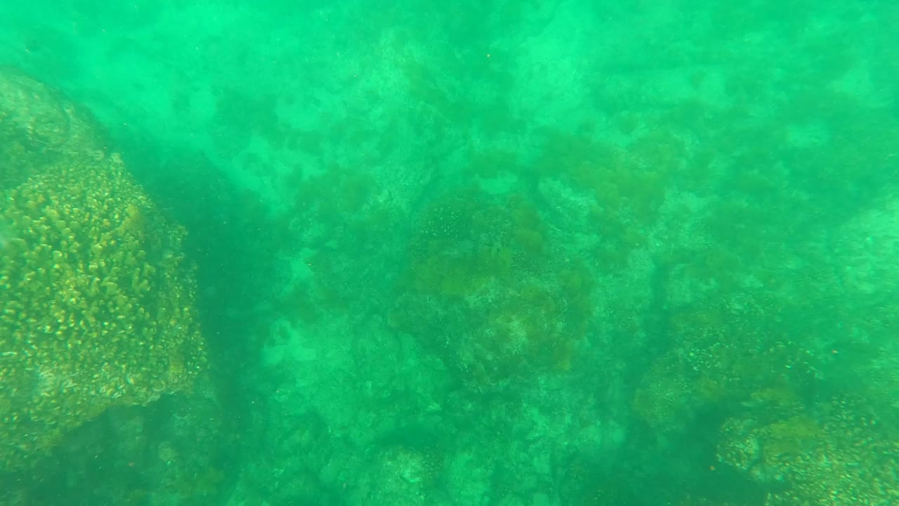 Turquoise underwater view of reef rocks and coral texture.