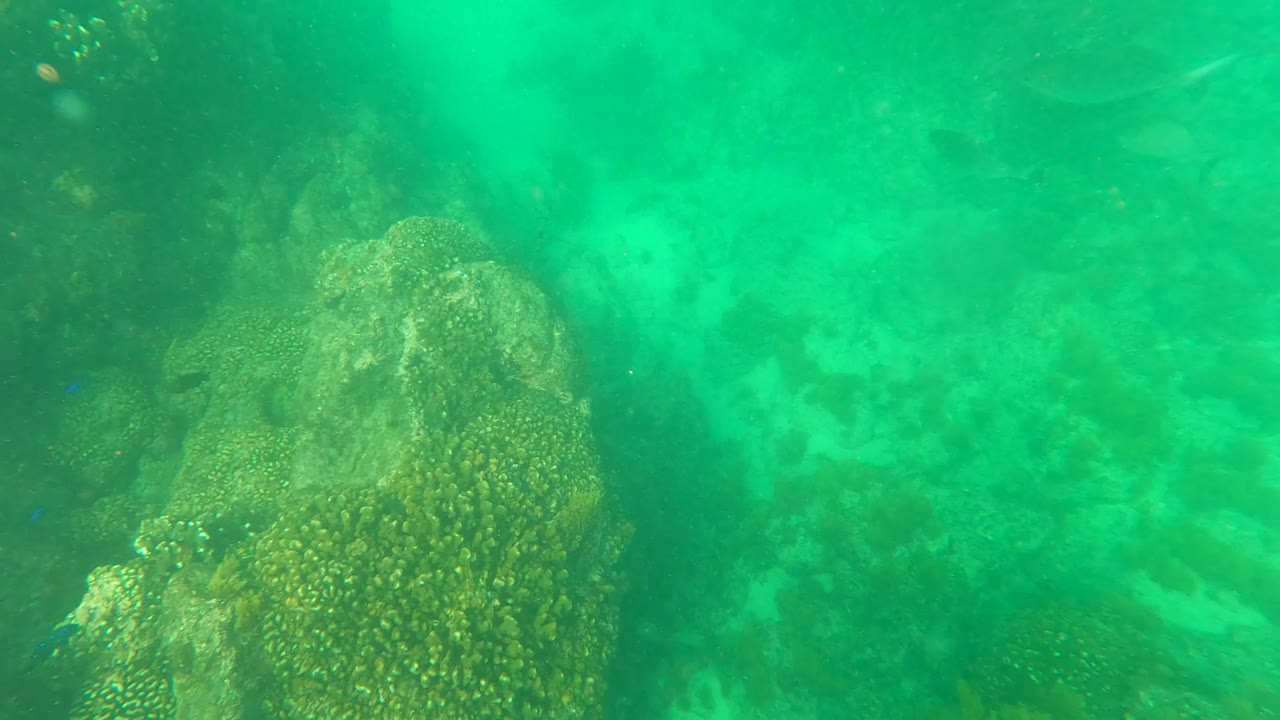 Closer underwater view in Los Barriles, Baja California Sur, with coral-covered rocks in the foreground, hazy sandy water beyond, and no visible people.