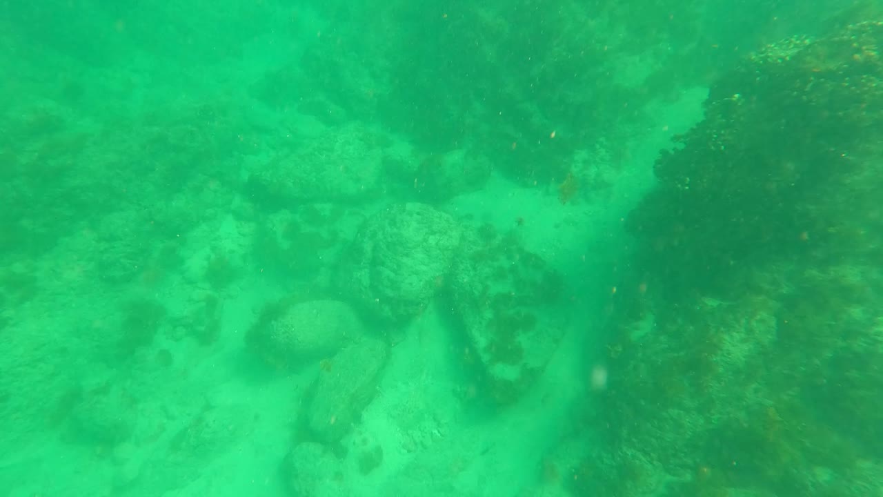 Green underwater frame in Los Barriles, Baja California Sur showing algae-covered rocks and sandy seabed patches, with no visible people.