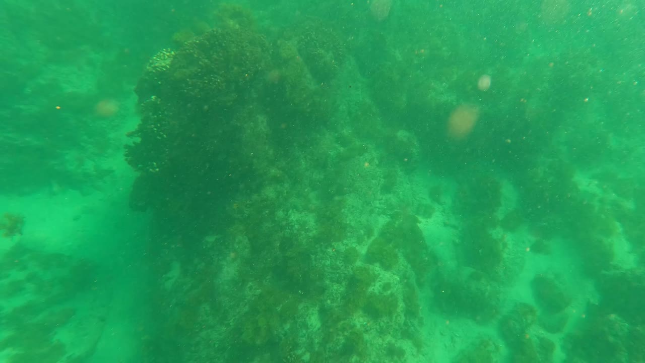 Second underwater frame from Los Barriles with darker rock clusters, algae, and green water haze across the seabed, with no visible people.