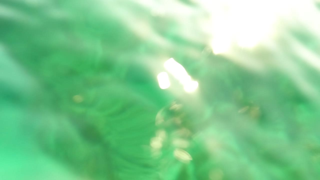 Los Barriles underwater frame looking toward the bright water surface with soft ripples and blurred rocks below, with no visible people.