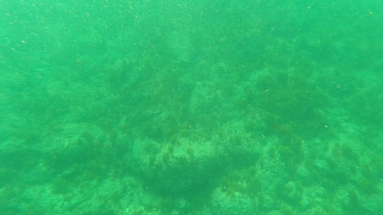 Early frame shows the Los Barriles reef floor through green-tinted water, with pale rocks and coral forms visible and no visible people.