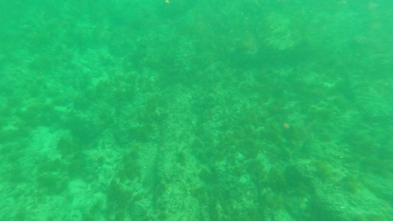 Mid-clip frame in Los Barriles showing a rocky coral seabed fading into soft green underwater haze, with no visible people.