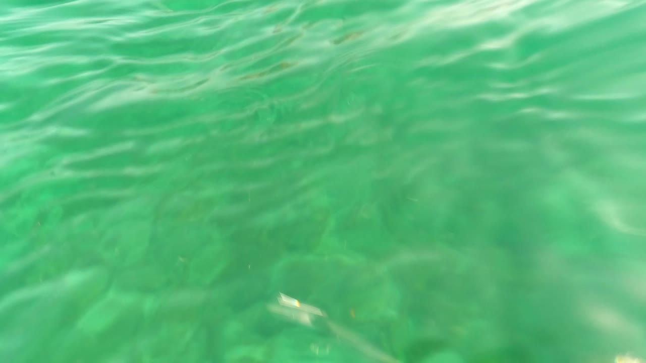 Early frame from Los Barriles, Baja California Sur, with the camera looking through green water at algae-covered seabed forms beneath a slightly brighter rippled surface, no visible people.