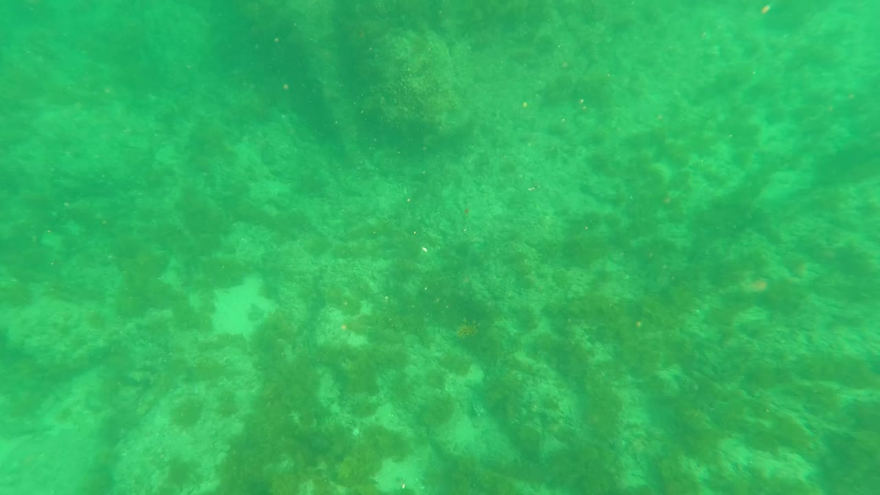 Later underwater frame from Los Barriles, Baja California Sur, with a distinct horizontal water-surface band above algae-covered rocks and no visible people.