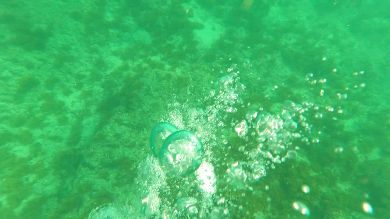 Bubbles over green underwater seabed