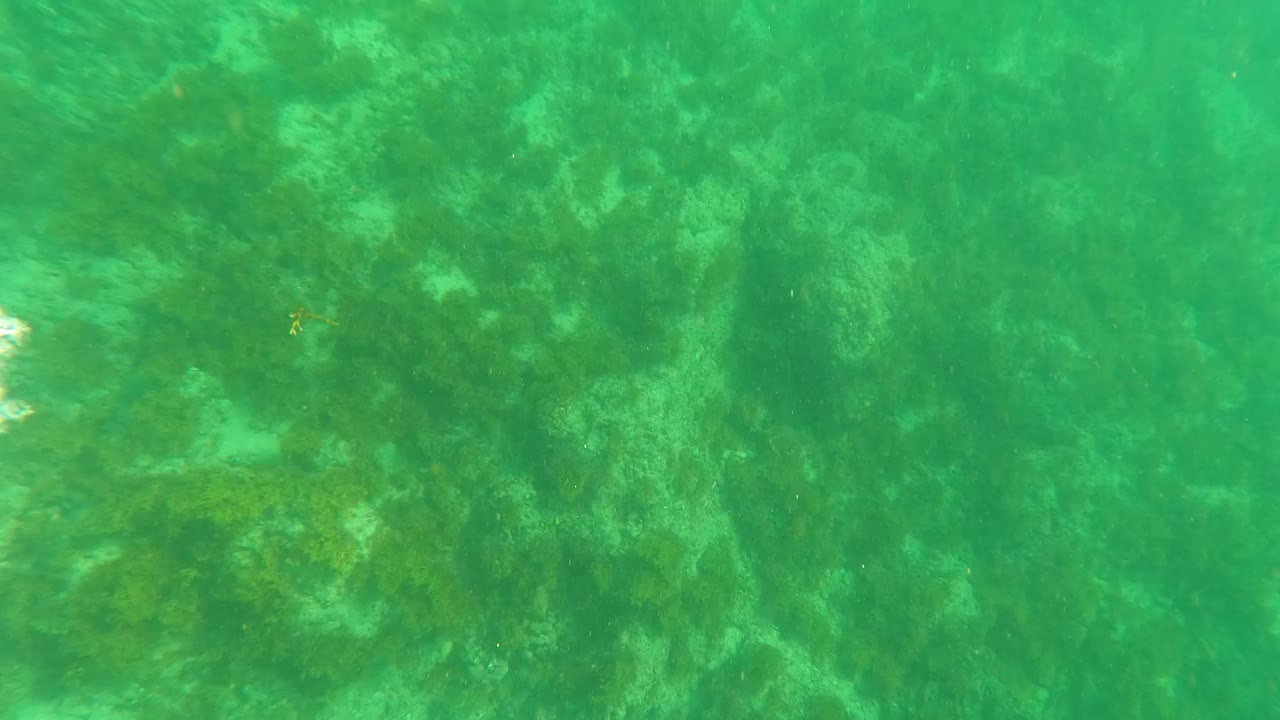 A small floating green object sits near bright bubbles in clear green water over the seabed at Los Barriles, with no visible people.
