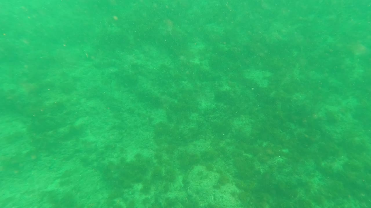 A broad view of the green underwater seabed shows soft surface movement and muted coral-algae patches in Los Barriles, with no visible people.